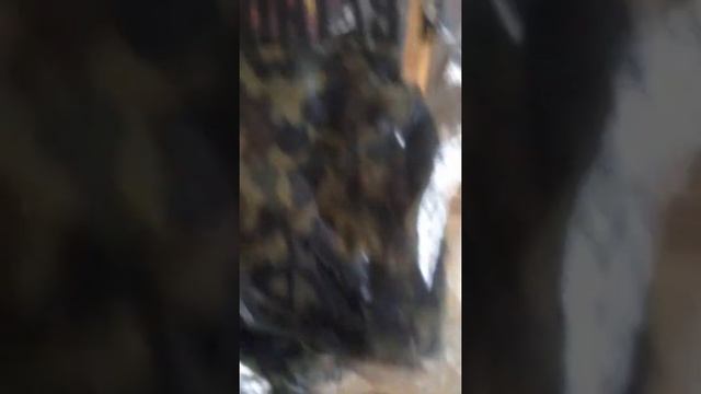 004 Bape Shaolin| Bape | A Bathing Ape | Unboxing | Clothing | Collection | Outfit | Pickup | Revie смотреть онлайн