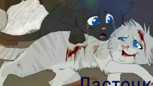 Коты воители смерти (под музыку 9 жизней у кошки) смотреть онлайн
