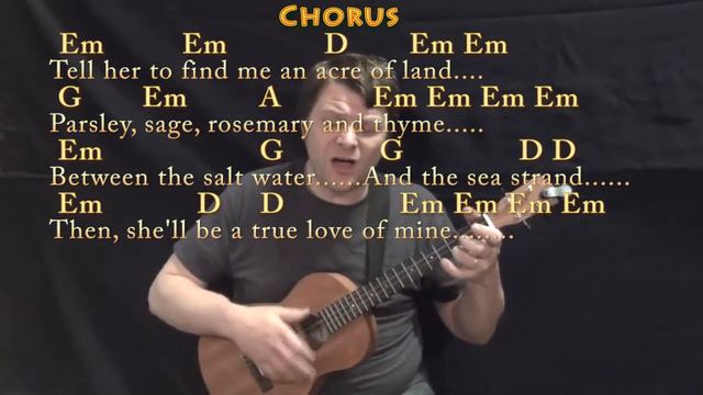 Scarborough Fair (Traditional) Bariuke Cover Lesson in Em with Chords/Lyrics смотреть онлайн