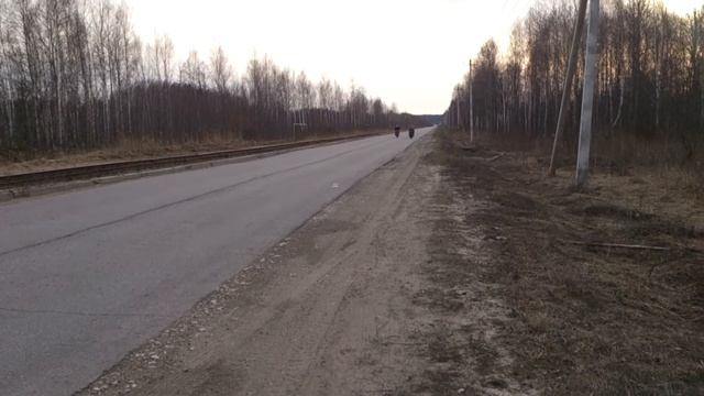 cb 400 vs zzr 400 смотреть онлайн