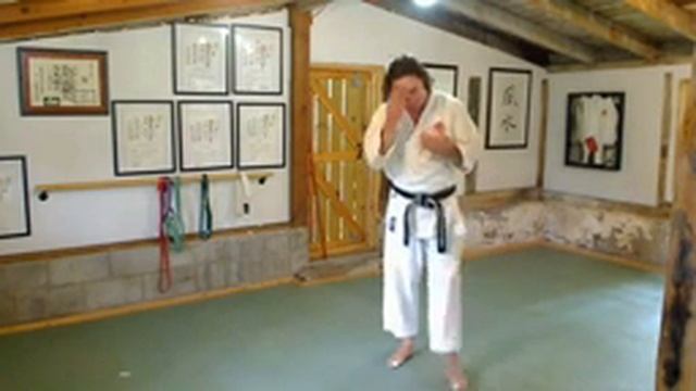 Karate@Home class 05-25 with JD Swanson смотреть онлайн