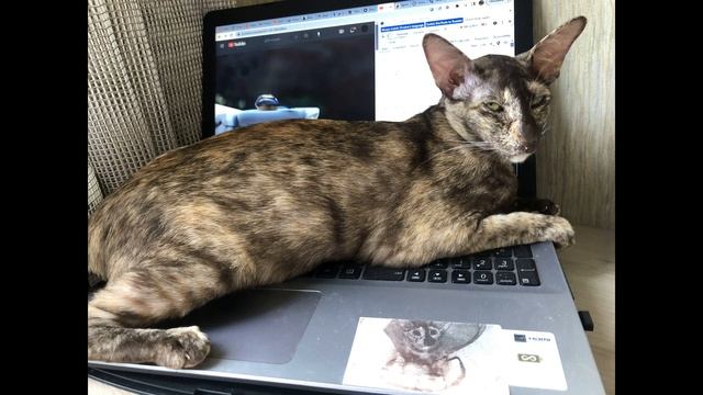 Благоухание красоты и здоровья