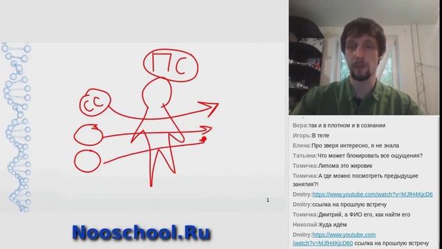 Работа с БиоЭнергетикой для усиления эффективности и укрепления здоровья, Вебинар Николая Бакалина смотреть онлайн