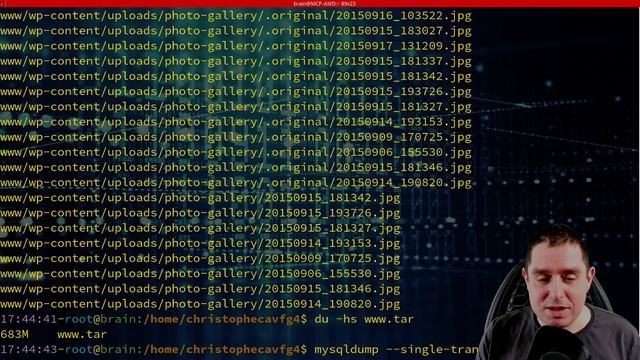 Migration d'un site Wordpress vers un nouveau serveur Linux - Christophe Casalegno смотреть онлайн