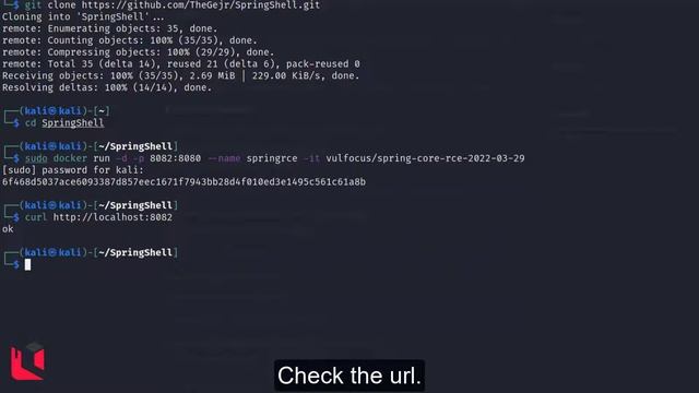 CVE-2022-22965 | Spring Framework Remote Code Execution смотреть онлайн