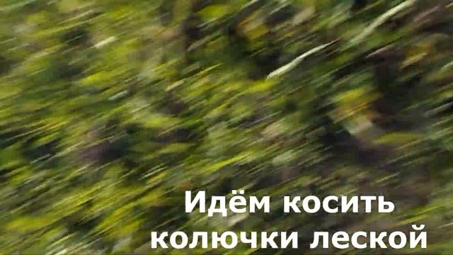 Показываем аккумуляторный и бензиновый триммеры в работе смотреть онлайн