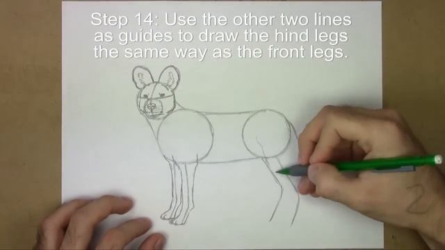 How to Draw an African Wild Dog смотреть онлайн