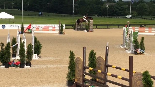 Hunter - 1.10m - Princeton Showjumping Classic - July ‘19 смотреть онлайн
