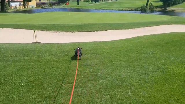 Гольф-клуб в Германии смотреть онлайн