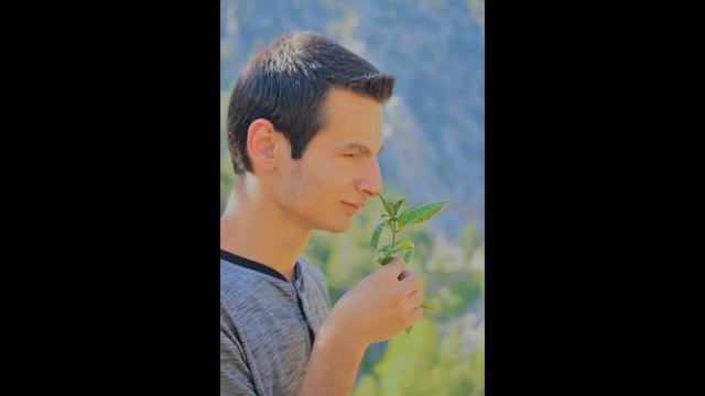 VAR GİT YARE ORİGİNAL VERSİON MP4 смотреть онлайн