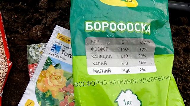 Обработка клубники от вредителей и подкормка удобрением смотреть онлайн