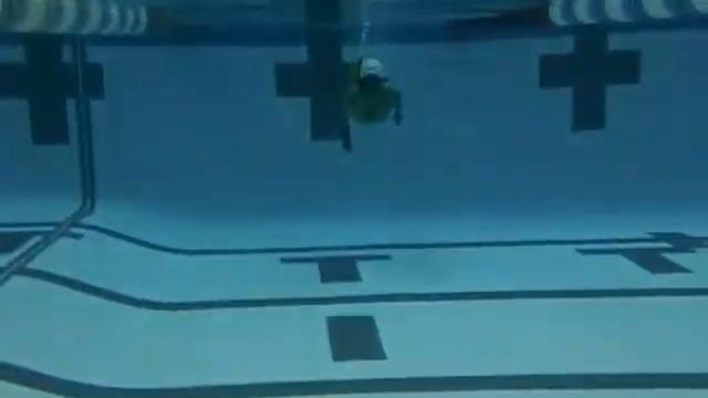 Pool Lab Trailer смотреть онлайн