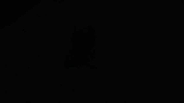 Слайд-шоу (мои домашние животные) Ч-1