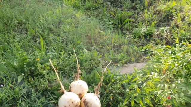 Меня не было 5 дней,а тут такое... смотреть онлайн