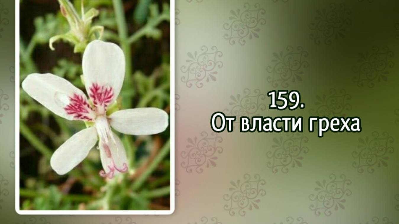 Гимны надежды 159 От власти греха (-) смотреть онлайн