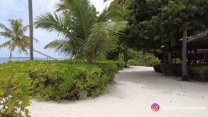 Reethi Faru Resort. Рити Фару.  Самый зеленый отель на Мальдивах! Сентябрь лучший месяц для Мальдив