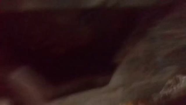 Замена масла двс шантуй 16. смотреть онлайн