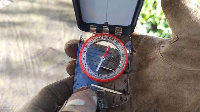 Почему у азиатов самый высокий IQ, а гениев среди них нет? смотреть онлайн