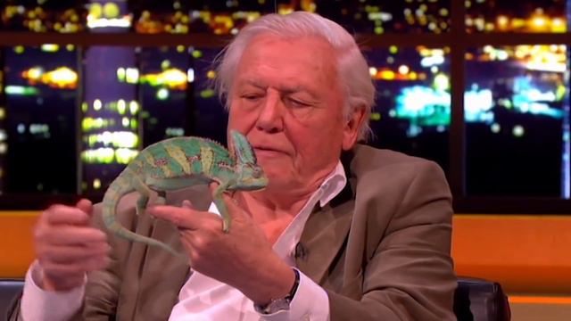 David Attenborough Narrates The Jonathan Ross Show #ThrowbackThursdays | The Jonathan Ross Show смотреть онлайн