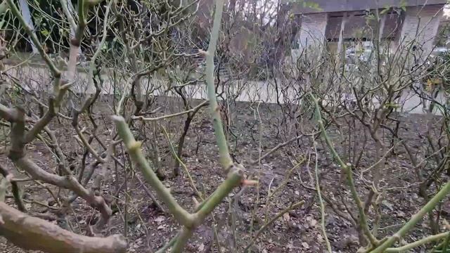 #норильск_ялта прощание с Интуристом, обитателями green parka #влогСеверЮг смотреть онлайн