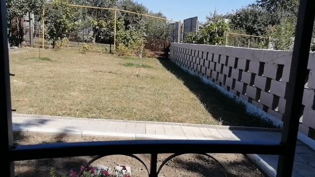 клеверный газон, ошибки при посадке! смотреть онлайн