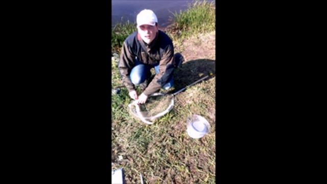 Чемпіонат Івано-Франківської обл. спінінг-берег 26.04.2015р смотреть онлайн