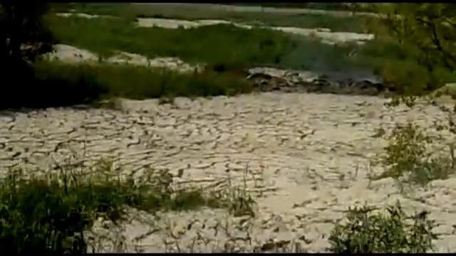 Желатиновый завод г. Лисичанска смотреть онлайн