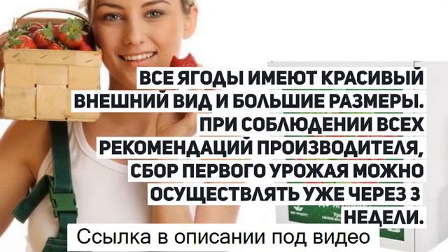 Чудо ягодница - чудо-ягодница сказочный сбор голландская клубника. смотреть онлайн