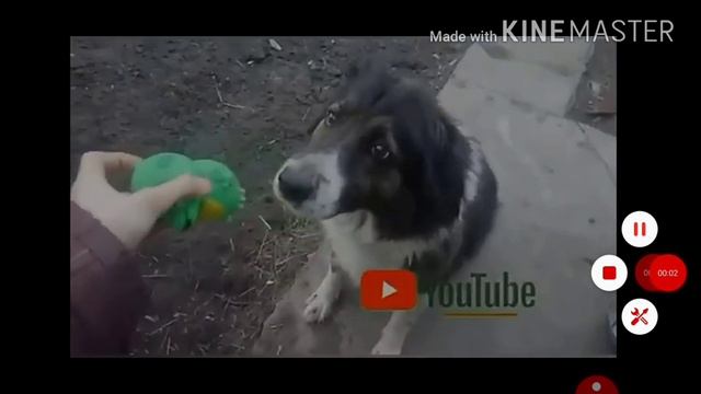 Клип "угадай где я" смотреть онлайн