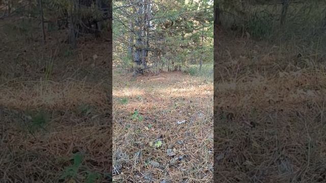 Нежность ветра смотреть онлайн