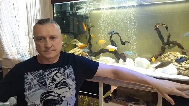 Наши питомцы. Немного о Данио смотреть онлайн