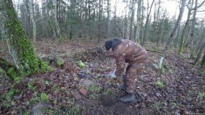 ВЫКОПАЛ и ЗОЛОТО, и СЕРЕБРО со СТАРИННОЙ БРОНЗОЙ!!! ПОИСК ЗЛАТА СЕРЕБРА!