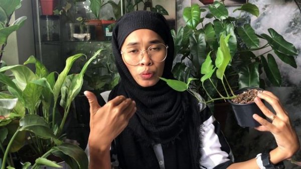 My RARE PLANT GROWTH update | The FASTEST and The EASY growing RARE PLANTS Indoor even for Beginner