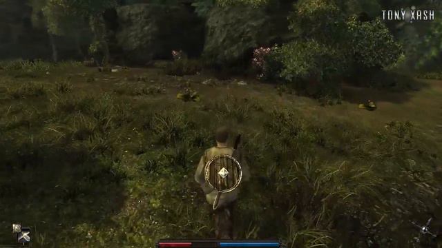 Путь боевого мага в Risen - 2 Cерия [В глубь острова] смотреть онлайн