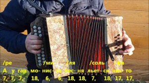 Девчонки полюбили не меня