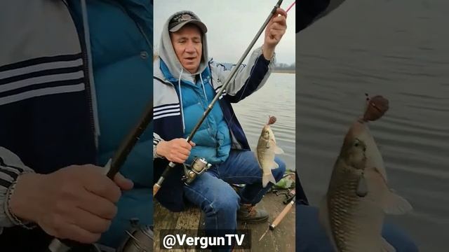 Первый карась сезона 2023 #рыбалка #fishing #verguntv #рыбалка_в_каменском #весенний_клев смотреть онлайн