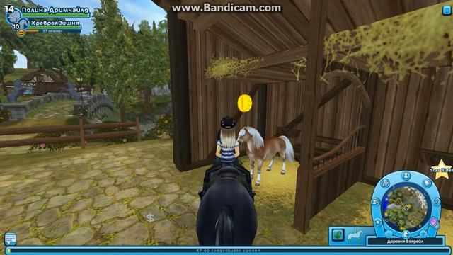 SSO\Star Stable Online\ Покупка Хафлингера\ смотреть онлайн