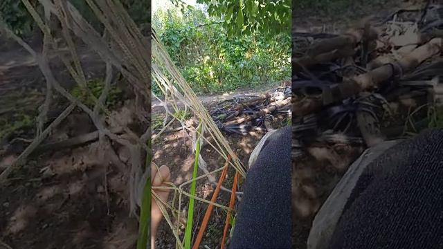 Ядерный психопат в обычной семье. смотреть онлайн