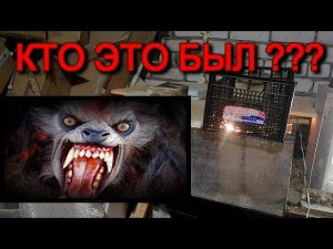 ХИЩНЫЙ зверь ЦЫПЛЯЧИЙ душегуб - кто же это был???