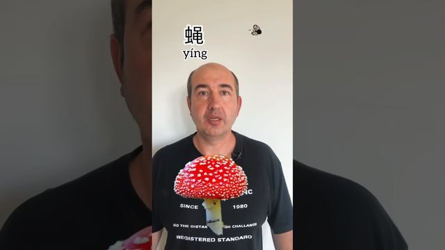 О мухоморах. Изучаем китайский язык смотреть онлайн