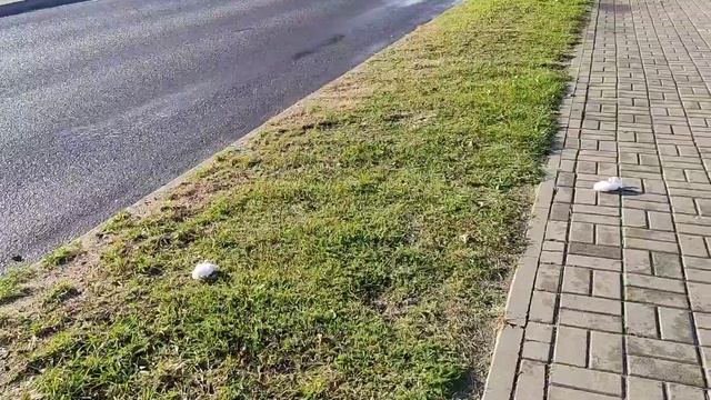 16.10.23. В магазине пустые полки. И много интересного. смотреть онлайн