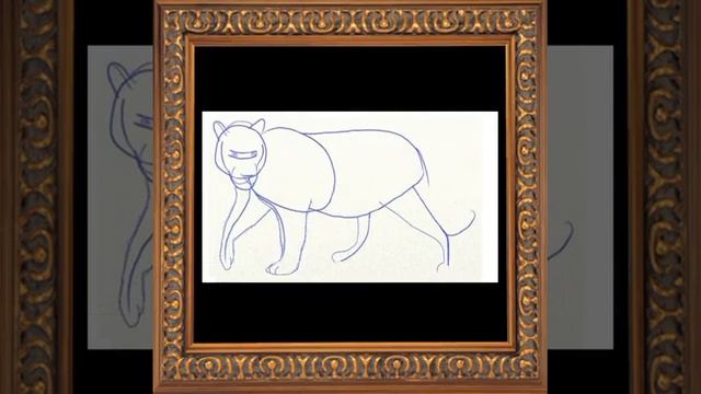 Как нарисовать тигра. смотреть онлайн