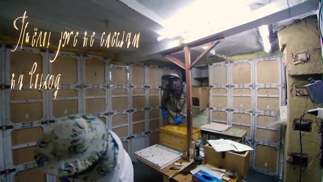 Timelapse Летние работы в кассетных ульях и откачка мёда из ульев собственного изготовления. смотреть онлайн