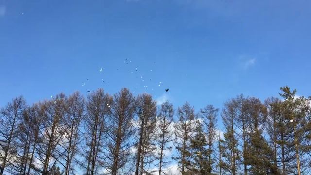 Киселевск,12шахта, Кемерово мы с тобой!!! смотреть онлайн