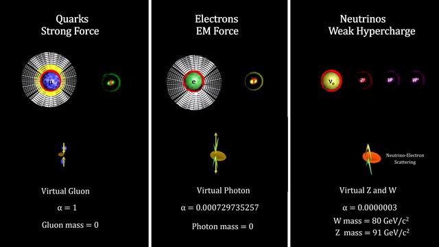 Classroom Aid - Weak Force W and Z Bosons смотреть онлайн