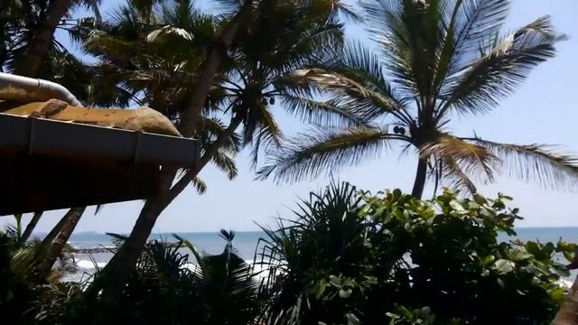Шри Ланка.RoY Villa .часть 1Sri Lanka.РОЙ ВИЛА смотреть онлайн