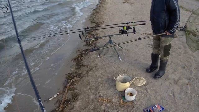 Карп не дает отдохнуть!Рыбалка в Казахстане в сильный ветер2022 смотреть онлайн