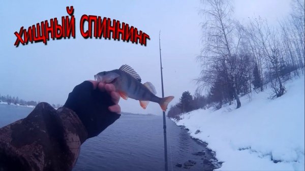 Тестирование Keitech Mad Wag 2.5