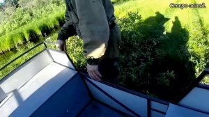 ВЕЗДЕХОД (КАРАКАТ) «АКУЛА«В ДЕЛЕ! ЕДЕТ ТУДА КУДА ГЛАЗА ГЛЯДЯТ.
