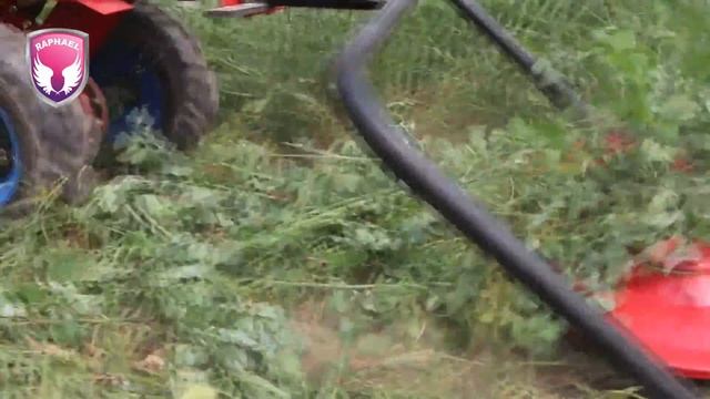 RL 6Y with mover prproj смотреть онлайн